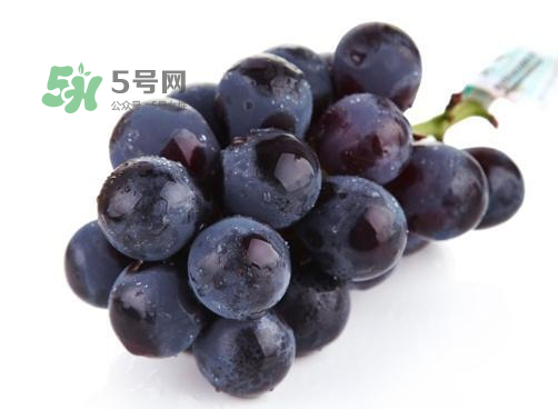 巨峰葡萄是酸性還是堿性？巨峰葡萄是堿性的嗎？