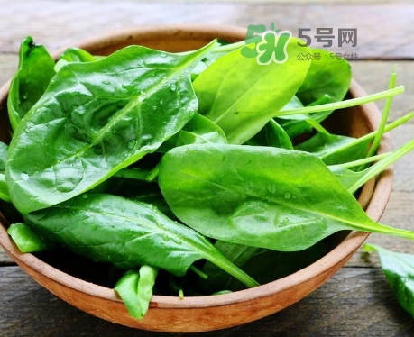 夏天為什么會變瘦_夏天為什么容易瘦 夏天為什么會變瘦_夏天為什么容易瘦