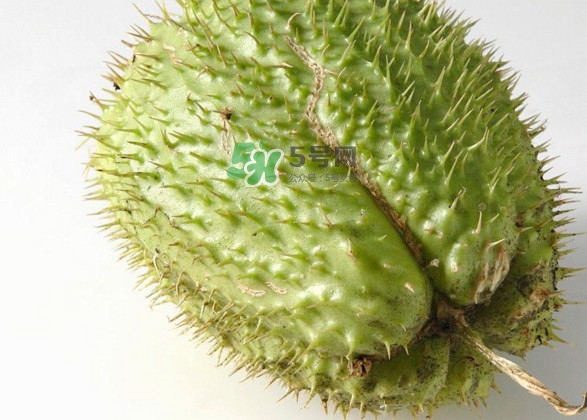 刺果番荔枝多少錢一斤？刺果番荔枝哪里有賣？