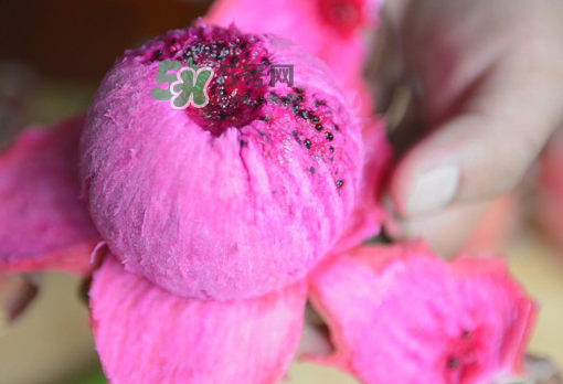 紅心火龍果一天吃幾個(gè)？紅心火龍果一天吃多少？