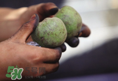 青皮核桃哪里有賣？哪里可以買到青皮核桃