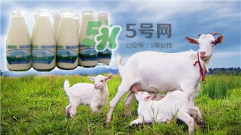 喝羊奶有什么禁忌?喝羊奶的禁忌 喝羊奶有什么禁忌?喝羊奶的禁忌