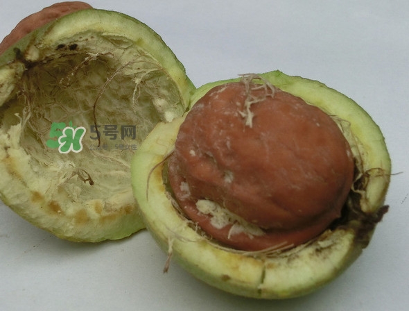 青皮核桃是怎么變成干核桃的？吃核桃為什么有酒味