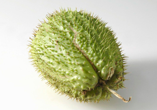 刺果番荔枝多少錢一斤？刺果番荔枝哪里有賣？