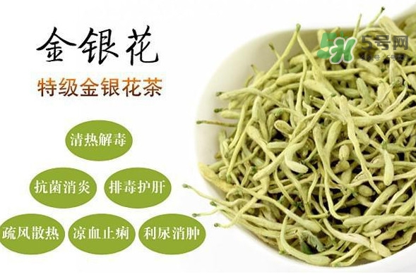 金銀花茶是去火的嗎？金銀花茶有什么功效與作用