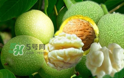 青皮核桃?guī)捉锍鲆唤锔珊颂?？青皮核桃什么時候成熟