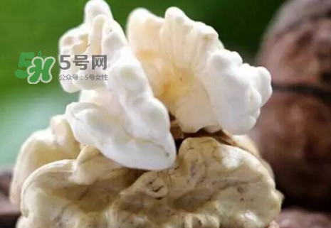 青皮核桃?guī)捉锍鲆唤锔珊颂?？青皮核桃什么時候成熟