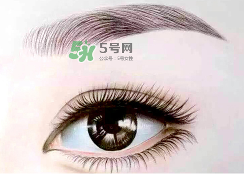 三伏天能紋眉嗎？三伏天紋眉毛好嗎？