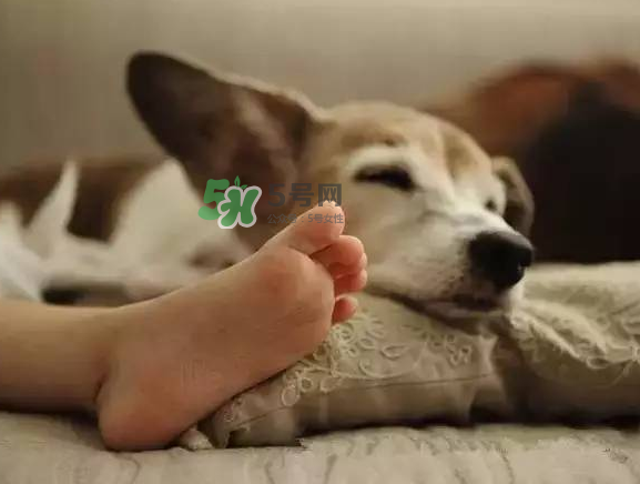 點(diǎn)20盤(pán)蚊香開(kāi)空調(diào)睡中毒 開(kāi)空調(diào)能點(diǎn)蚊香嗎？