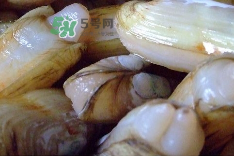 蟶子怎么抓？孕婦能吃蟶子嗎