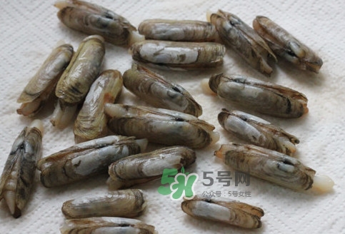 蟶子多少錢一斤？蟶子為什么撒鹽就出來