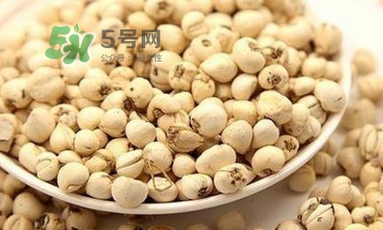 川貝母可以直接吃嗎？川貝母可以泡水喝嗎