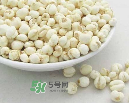 川貝母是川貝嗎？川貝母是酸性還是堿性？