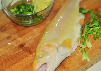 金鱒魚清蒸為什么變黑？食用金鱒魚有什么好處