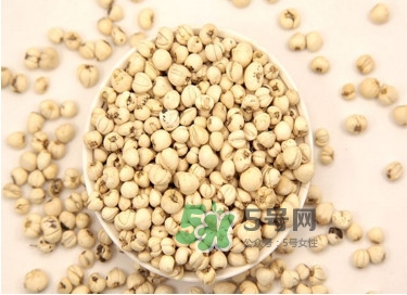 川貝母是苦的嗎？川貝母是涼性的嗎