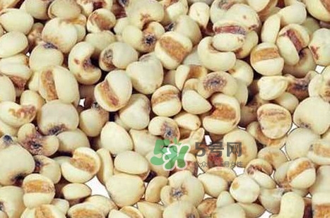 川貝母可以直接吃嗎？川貝母可以泡水喝嗎