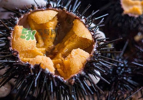 海膽可以冷凍儲存嗎？什么人不能吃海膽