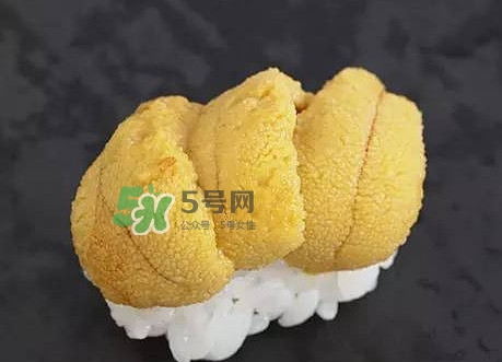 海膽怎么處理？海膽可以生吃嗎？