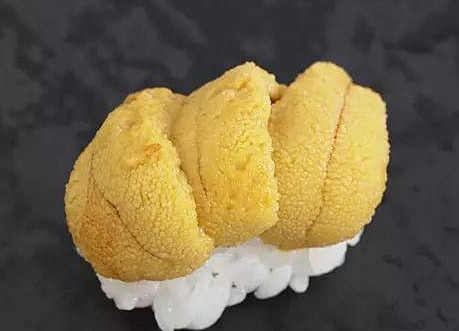 活海膽怎么殺？海膽怎么開殼？