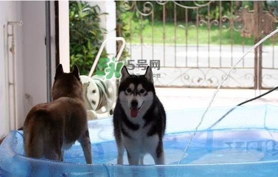 2017年8月份熱嗎？2017年陰歷八月份熱嗎？