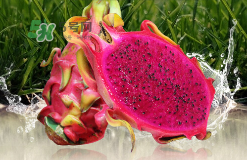 紅心火龍果可以減肥嗎？紅心火龍果能減肥嗎？