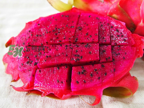 紅心火龍果可以減肥嗎？紅心火龍果能減肥嗎？