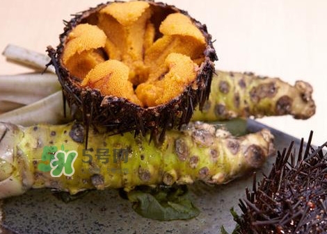 被海膽刺到怎么辦？吃海膽對(duì)身體有什么好處