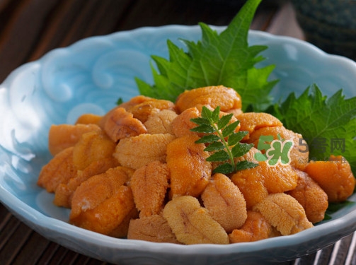 海膽怎么做好吃？買(mǎi)海膽怎么挑