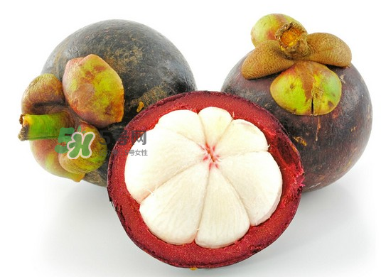 山竹硬的好還是軟的好？山竹硬了就壞了嗎？