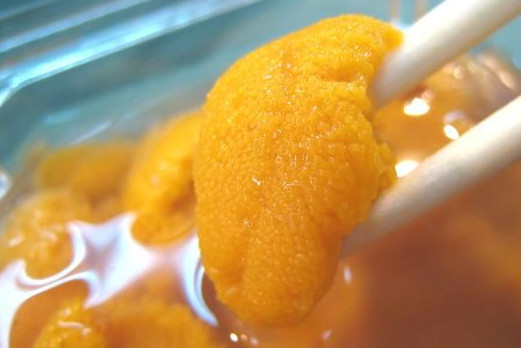 海膽什么季節(jié)最肥？海膽什么時候最肥