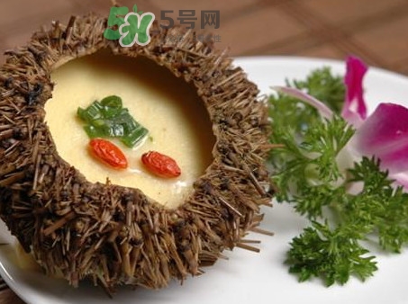 海膽死了還能吃嗎？海膽不能跟什么一起吃