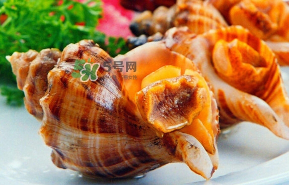 為什么海螺殼里面會有聲音？海螺和韭菜能不能一起吃