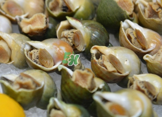 海螺怎么做好吃？海螺怎么清洗干凈