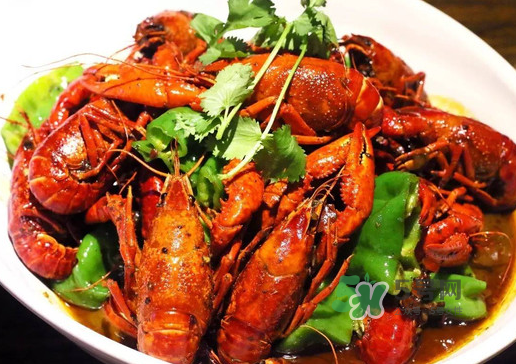 金蟬和蝦能一起吃嗎？孕婦吃完蝦能吃金蟬嗎？