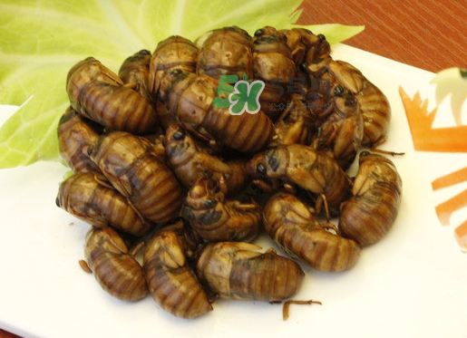 金蟬和蝦能一起吃嗎？孕婦吃完蝦能吃金蟬嗎？