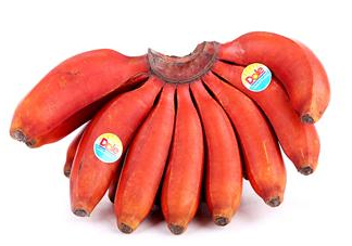 紅香蕉是哪里的特產(chǎn)？紅香蕉什么時(shí)候成熟？