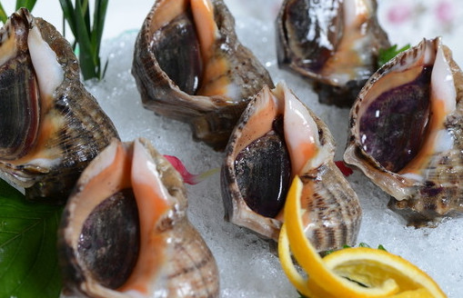 海螺有寄生蟲嗎？海螺可以生吃嗎