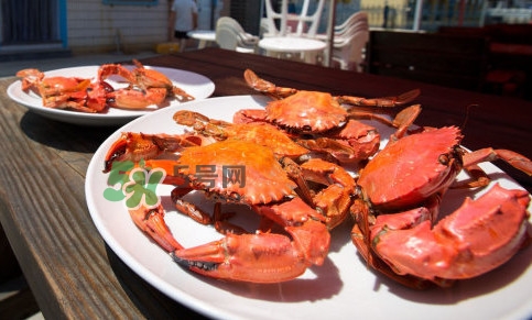 赤甲紅有母蟹嗎？赤甲紅為什么沒有母蟹？