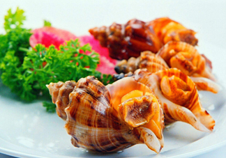 為什么海螺殼里面會(huì)有聲音？海螺和韭菜能不能一起吃