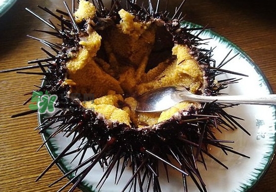 海膽有毒嗎？海膽有寄生蟲嗎