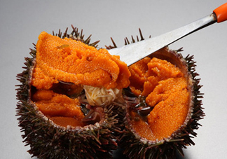 冷凍海膽黃化了能吃嗎？海膽吃多了會(huì)怎樣