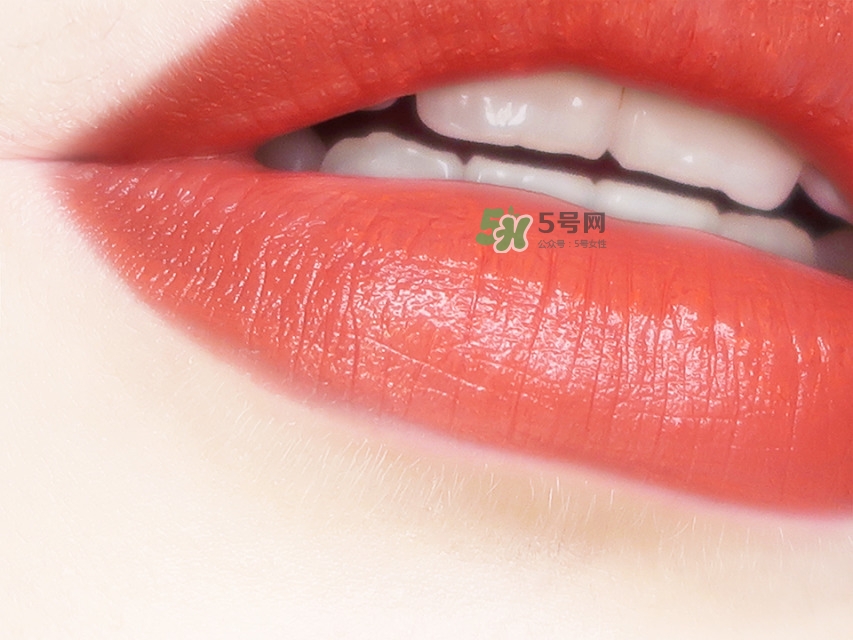 草木之心口袋口紅色號(hào)_草木之心口紅套裝試色圖 草木之心口袋口紅色號(hào)_草木之心口紅套裝試色圖