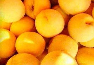 2017年炎陵黃桃多少錢一斤？炎陵黃桃為什么這么貴？