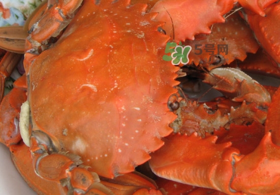 赤甲紅和花蓋是一種螃蟹嗎？赤甲紅海蟹什么時候肥