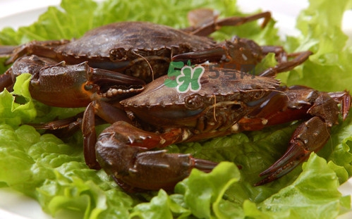 赤甲紅和花蓋是一種螃蟹嗎？赤甲紅海蟹什么時候肥