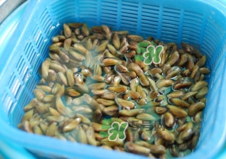 薄殼有寄生蟲嗎？薄殼米怎樣保鮮