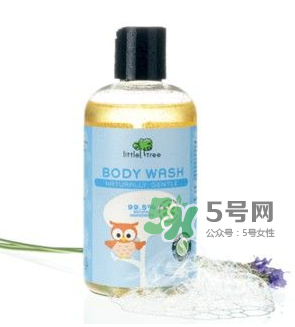 英國小樹苗英國沒有嗎？英國小樹苗官網(wǎng)地址是什么