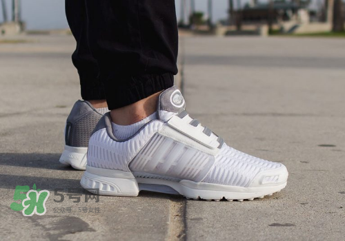 adidas climacool los angeles洛杉磯別注款怎么買_在哪買？