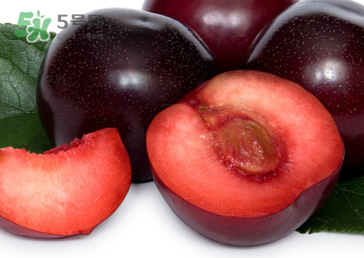 黑布林和火龍果能一起吃嗎？黑布林可以和火龍果一起吃嗎？