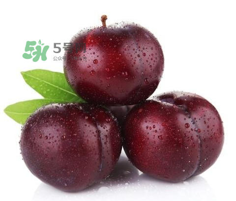 黑布林可以泡酒嗎？黑布林怎么吃？